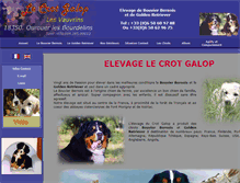 Tablet Screenshot of lebouvierbernois.com